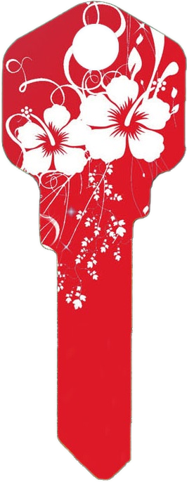 Red Hibiscus Key